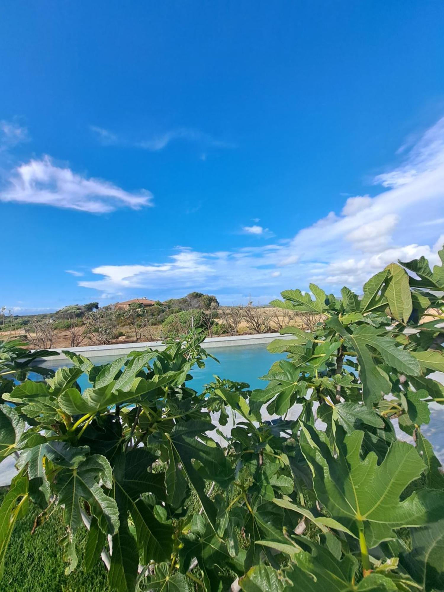Agriturismo Lu Nodu Greuli エクステリア 写真