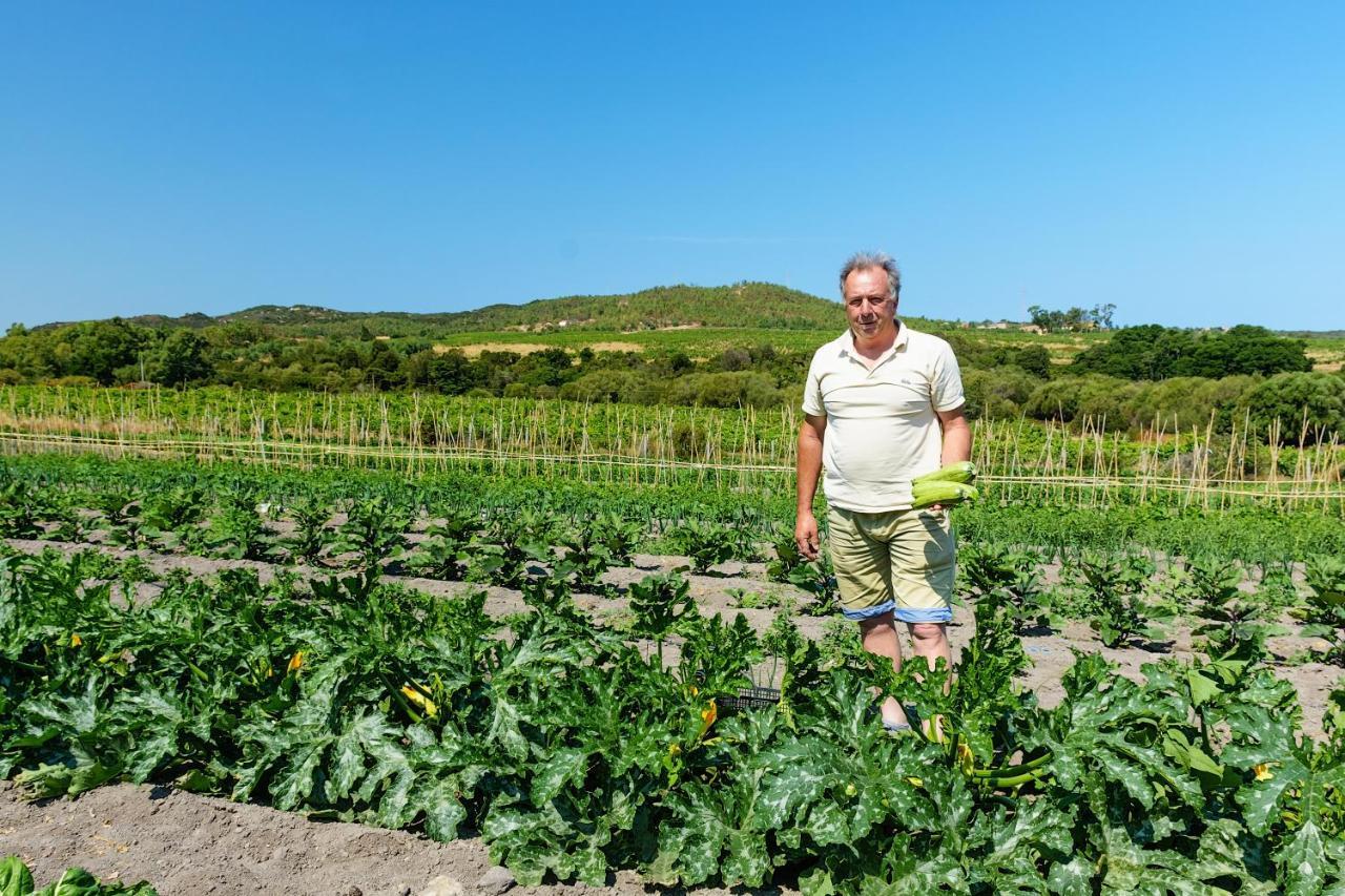 Agriturismo Lu Nodu Greuli エクステリア 写真
